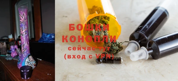 ECSTASY Дмитриев