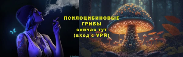 ECSTASY Дмитриев