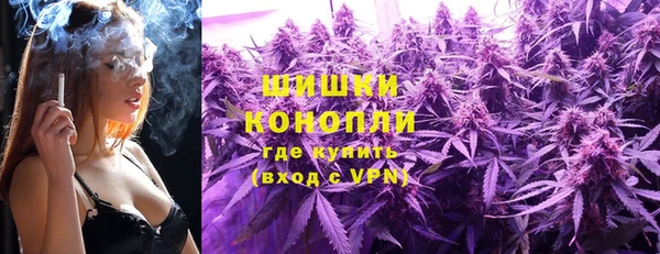ECSTASY Дмитриев