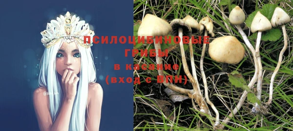 соль курить ск Дмитров