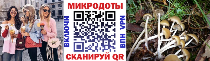 блэк спрут сайт  Буинск  Псилоцибиновые грибы Psilocybine cubensis  купить наркотики сайты 
